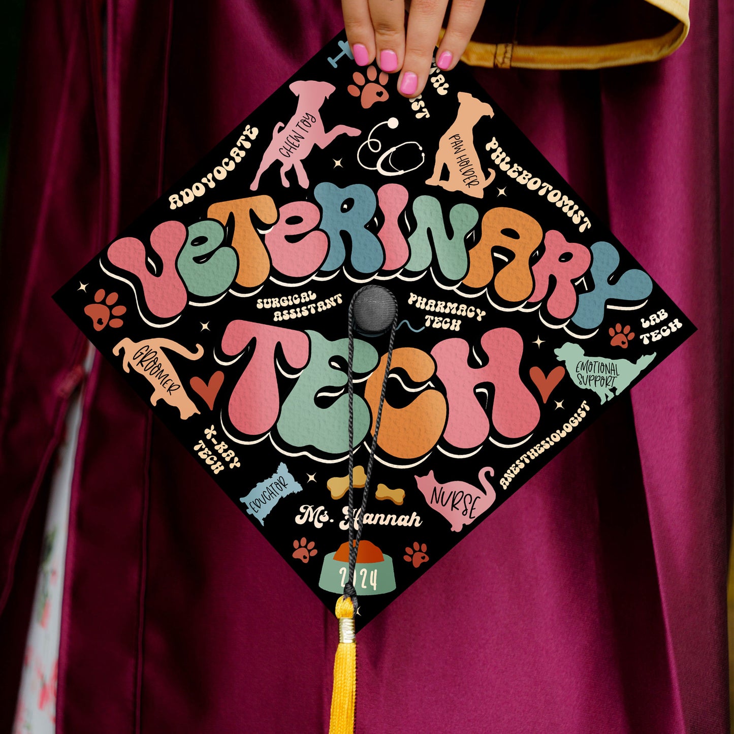 Customized Vet Assistant Graduation Cap Topper, Animal Lover Gift, Class of 2024
