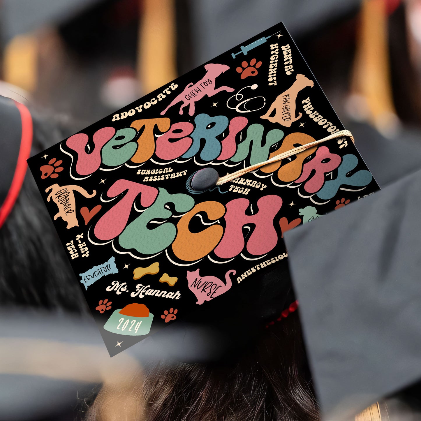 Customized Vet Assistant Graduation Cap Topper, Animal Lover Gift, Class of 2024